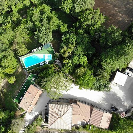 فيلا أسيسيفي Agriturismo Il Noceto المظهر الخارجي الصورة