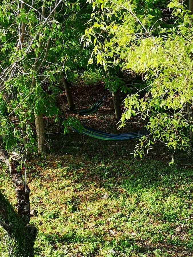 فيلا أسيسيفي Agriturismo Il Noceto المظهر الخارجي الصورة