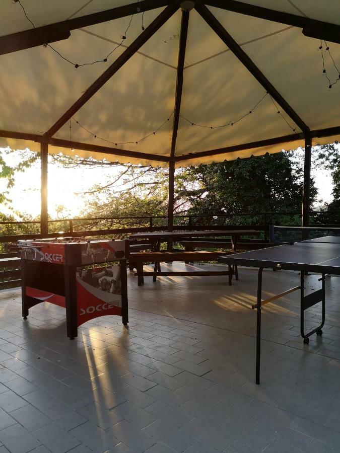 فيلا أسيسيفي Agriturismo Il Noceto المظهر الخارجي الصورة