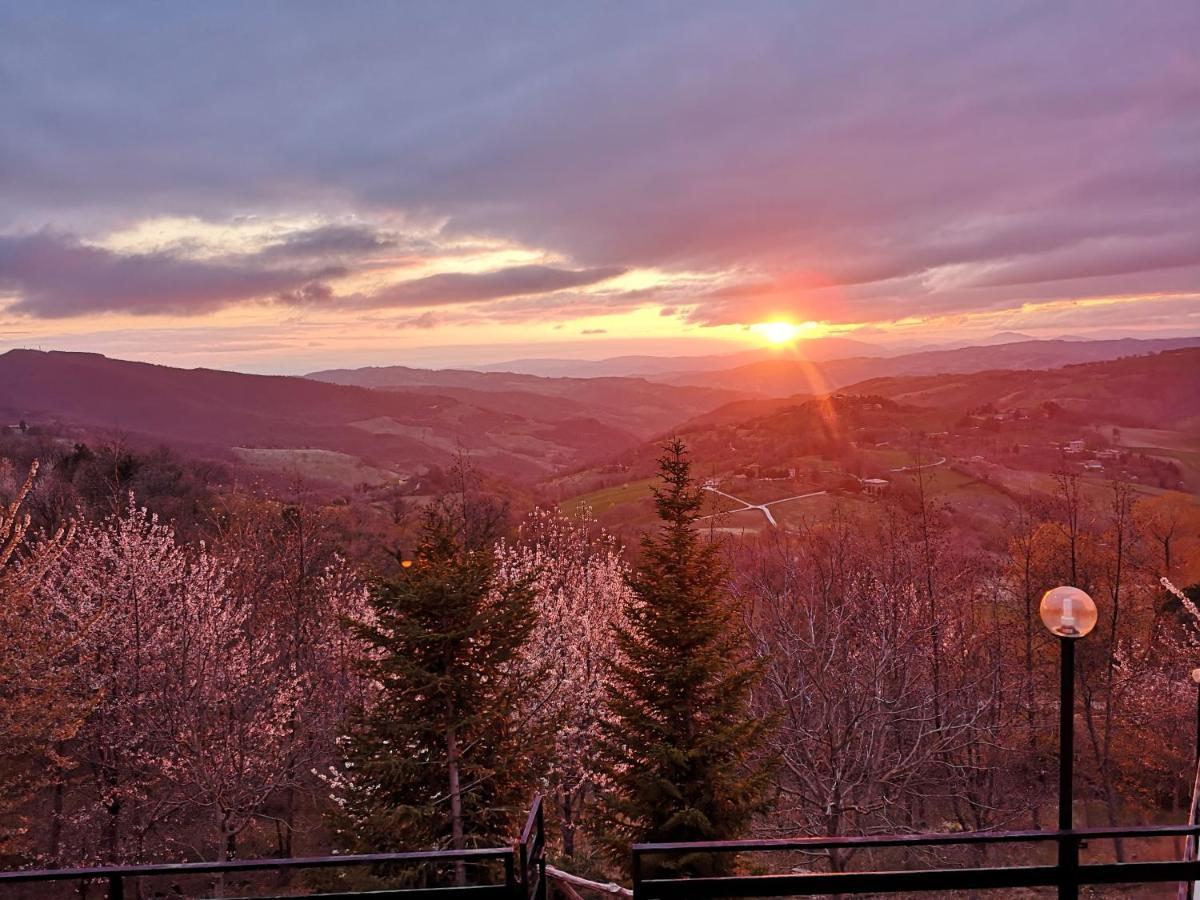 فيلا أسيسيفي Agriturismo Il Noceto المظهر الخارجي الصورة