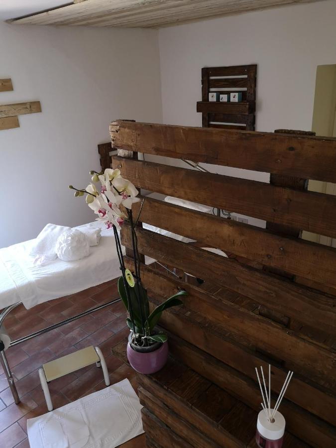 فيلا أسيسيفي Agriturismo Il Noceto المظهر الخارجي الصورة
